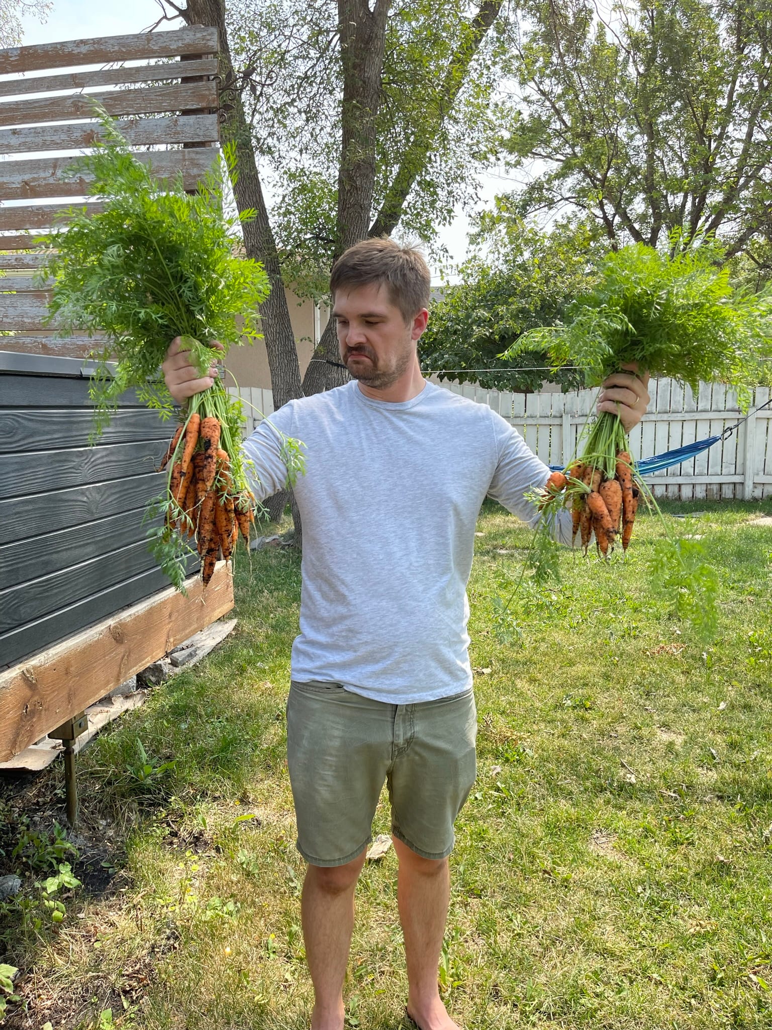 Last year's garden