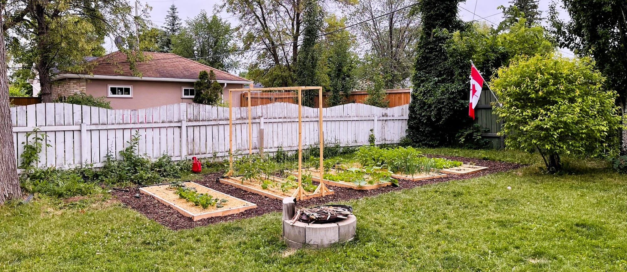 Last year's garden