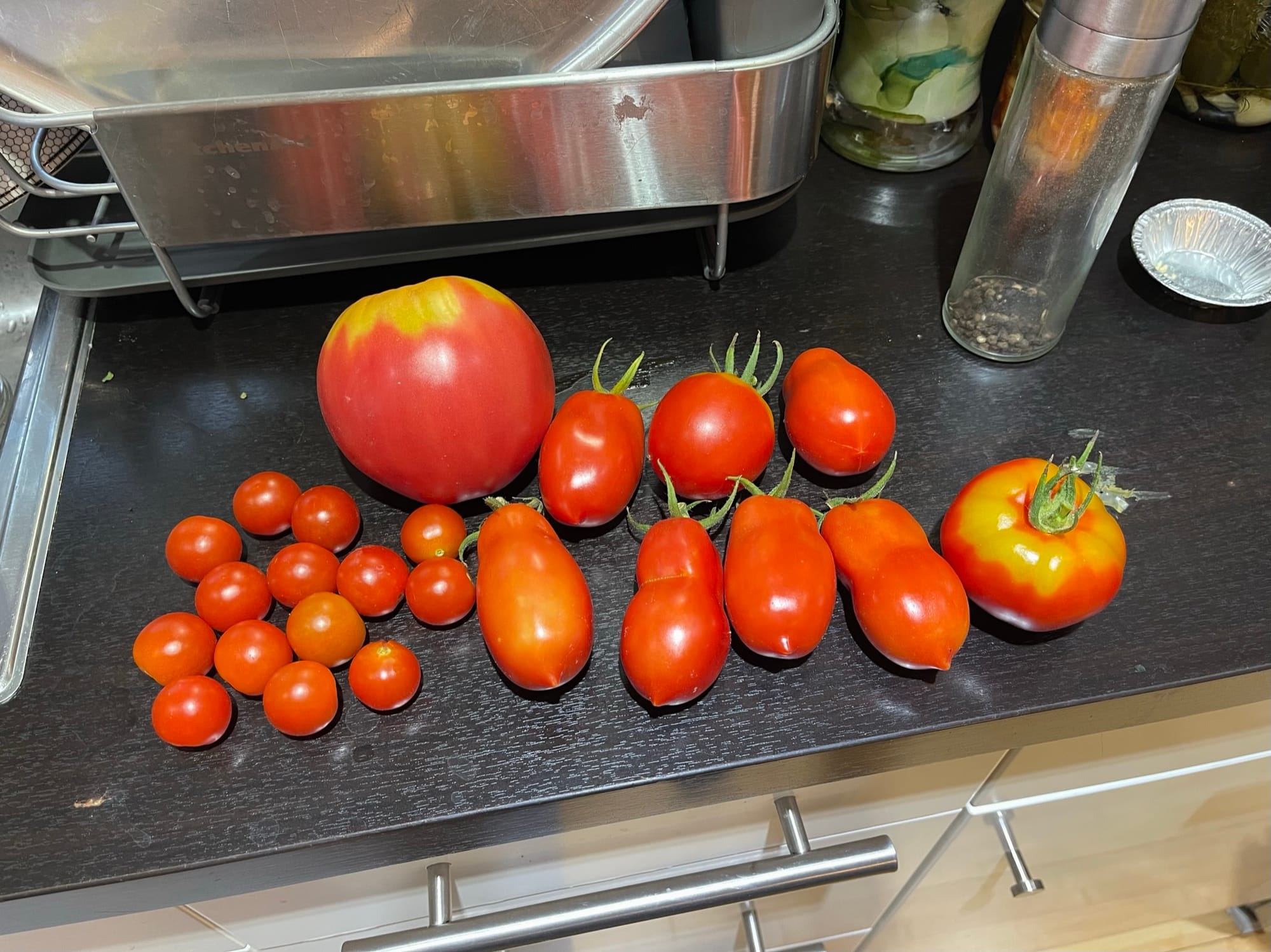 Last year's garden