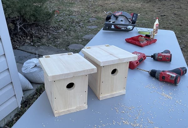 Bonus Project: Bird House 🐦