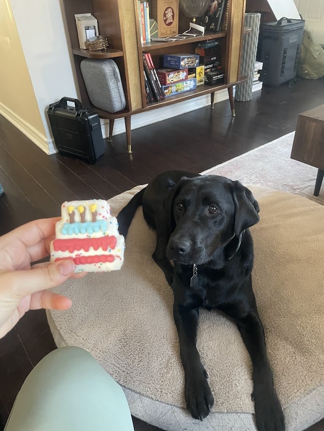 The Tomato Thief turns Two